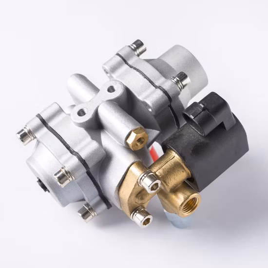 Accessori per auto all'ingrosso Riduttore CNG At12 At04 At98 per Aotogas