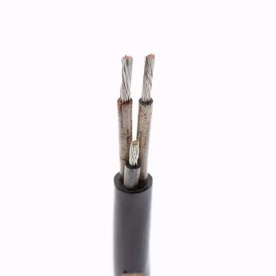 Copper Conductor Rubber Sheathed Flexible Yz 3X4sqmm Special Cable