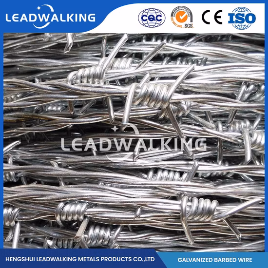 Filo spinato spinato Leadwalking Grossista ODM Filo spinato verde personalizzato Cina Sistema di recinzione di sicurezza con lunghezza dell'ago da 30 mm Filo spinato zincato